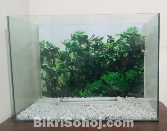 2 FEET AQUARIUM